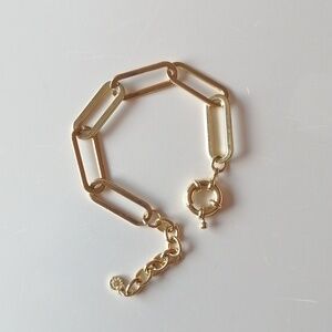 Paperclip Bracelet BaubleBar Hera Links Goldtone